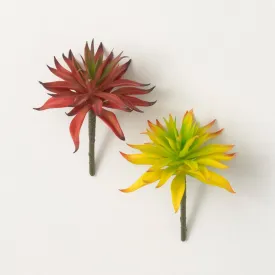 5"H Sullivans Red Yellow Succulent Spike Set of 2, Multicolor