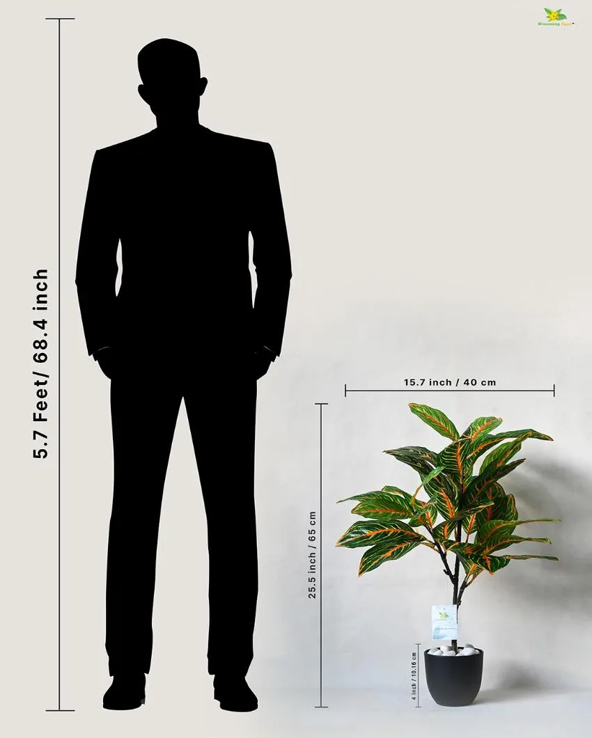 Aglaonema Ornamental Artificial Plant with Pot | 43 Leaves | 2 feet