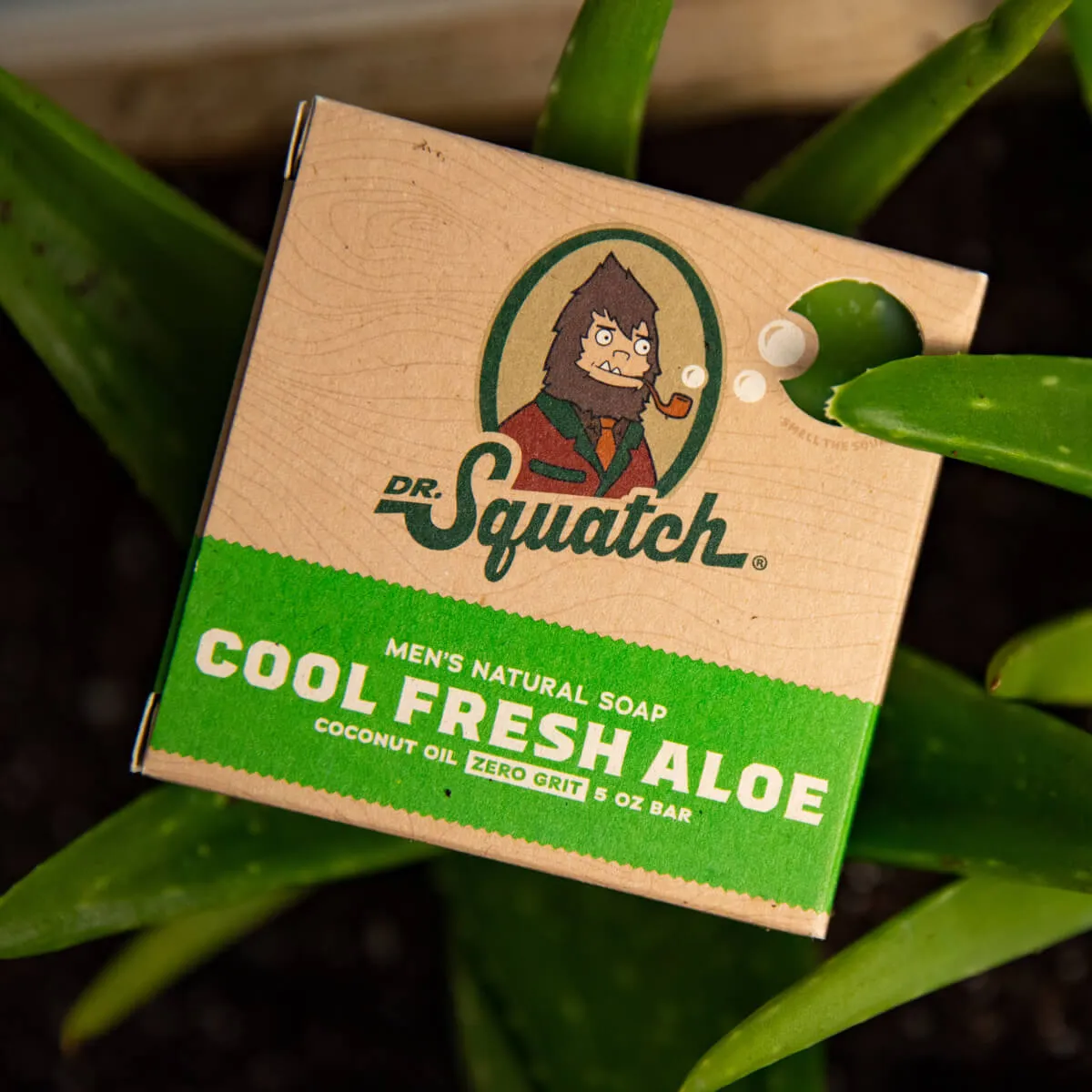 Cool Fresh Aloe